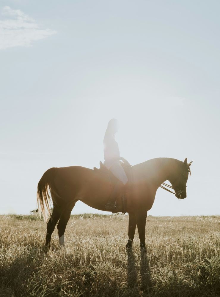 Jaco Horseback Riding - Two Hour Tour