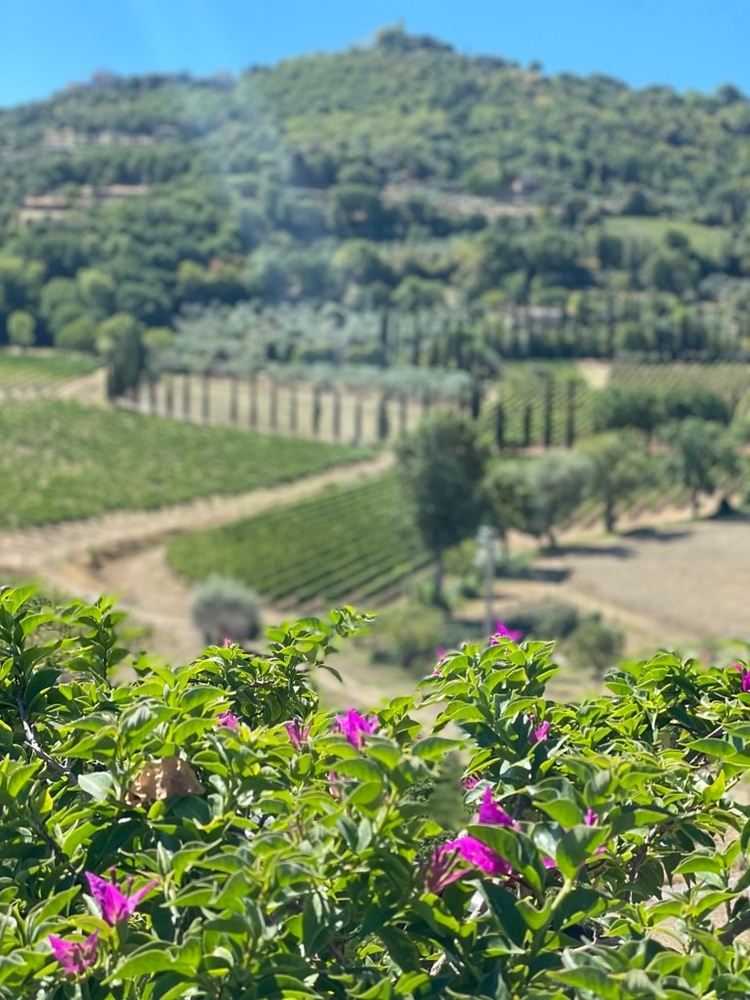 Idyllic Tuscany