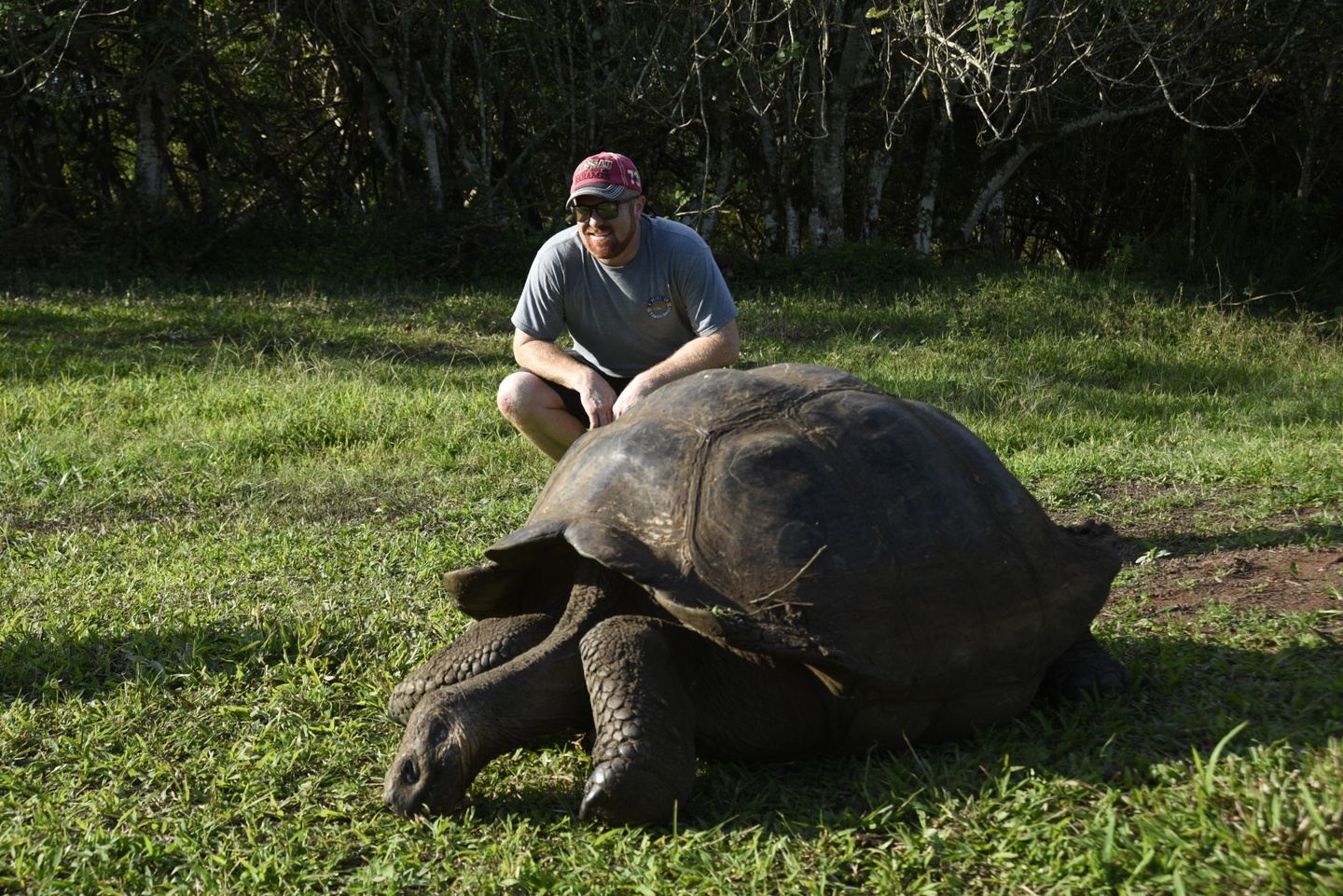 Land Tour Galápagos 5 Días 4 Noches (Santa Cruz ) Actividades (shared)