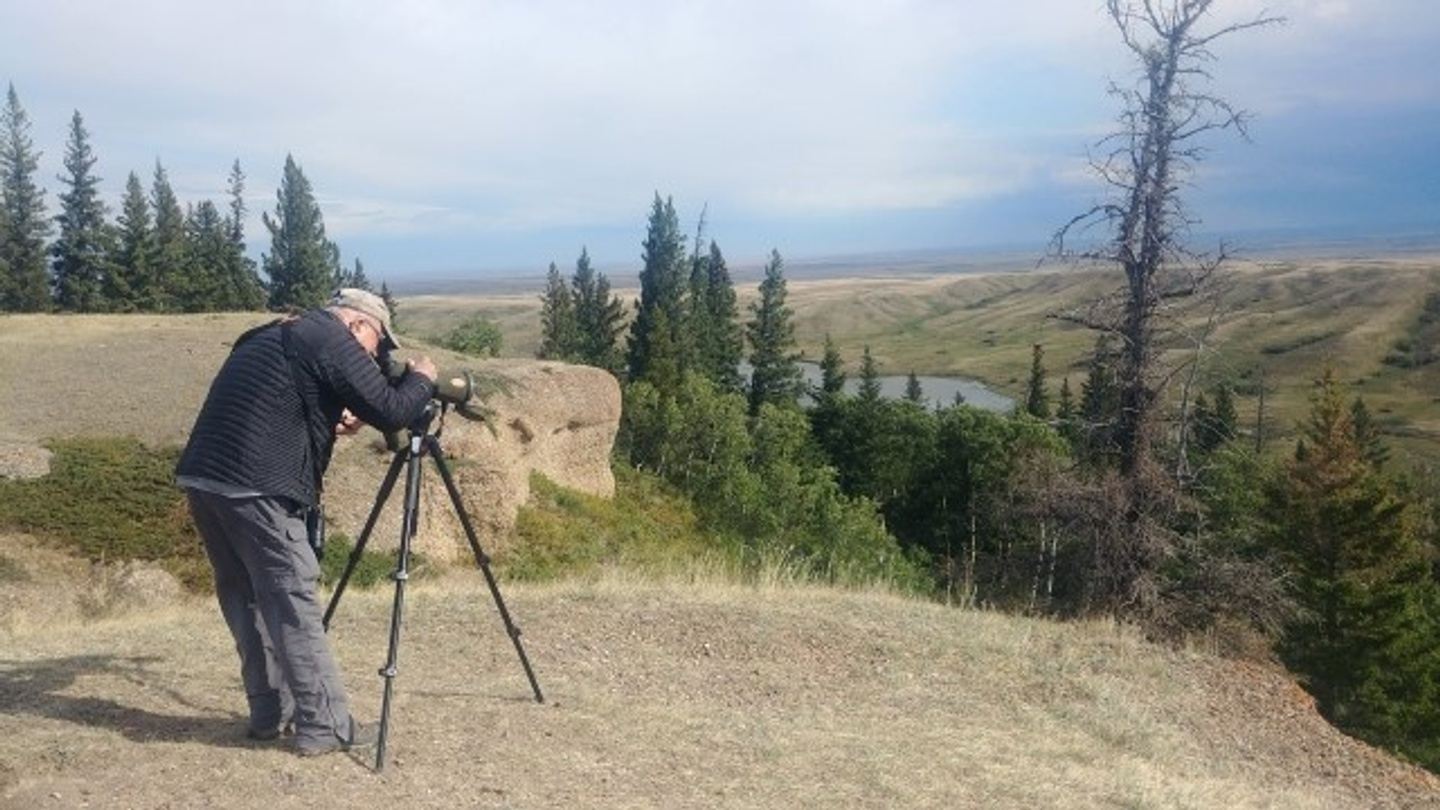 Cypress Hills 8-day Birding Tour - Saskatchewan, Canada