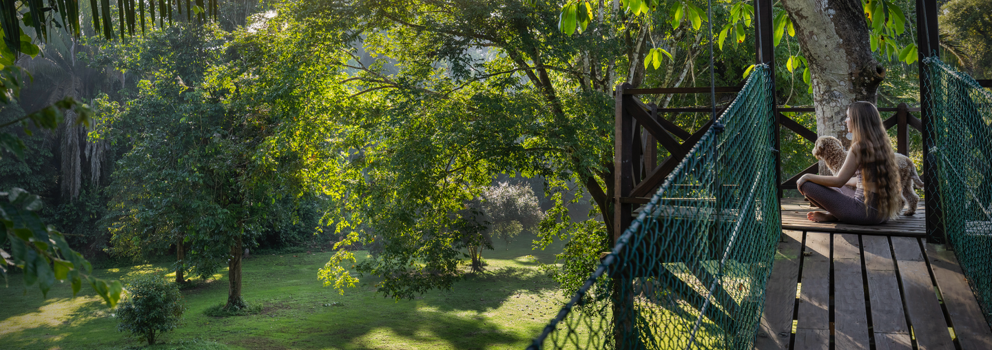 Rainforest Wellness Retreat