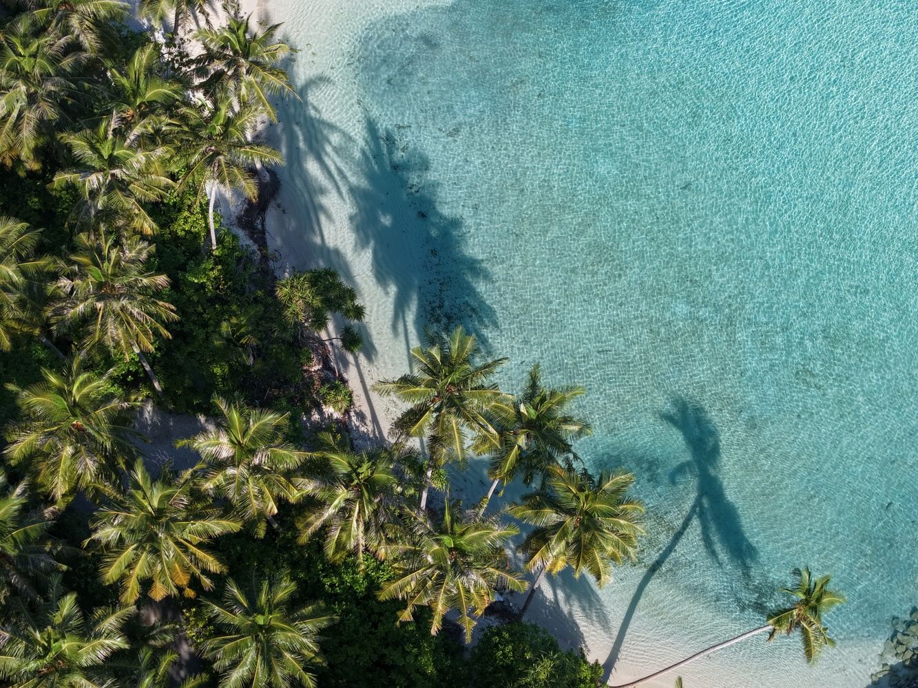 Maldives Island Getaway