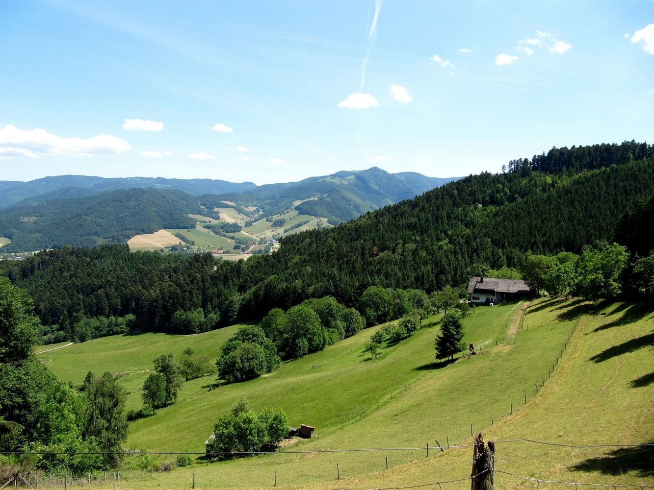 Alemania romantica y la selva negra
