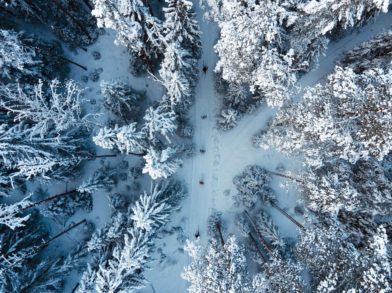 Sauna Stillness Stars | 2nd Feb  - 7 Feb 2027