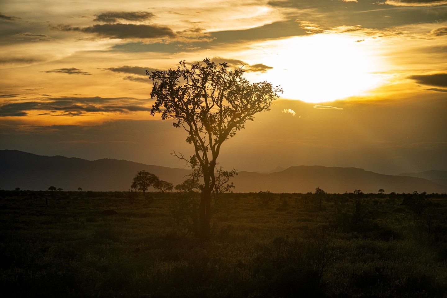 Kenya Retreat & Safari