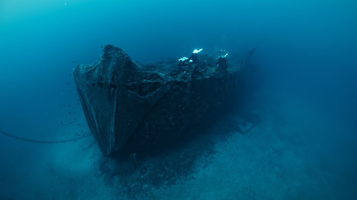 Gallipoli Axolot