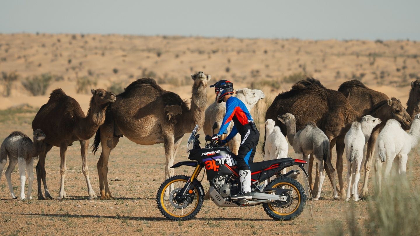 TUAREG EXPERIENCE: MOROCCO NOMAD RIDE