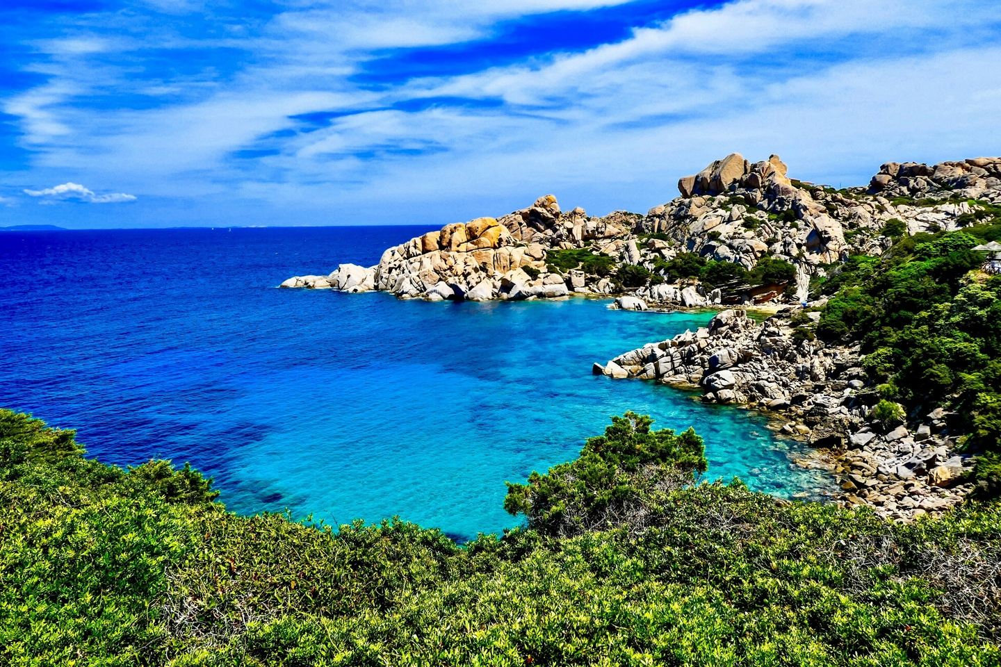 Orchids of Sardinia 2027