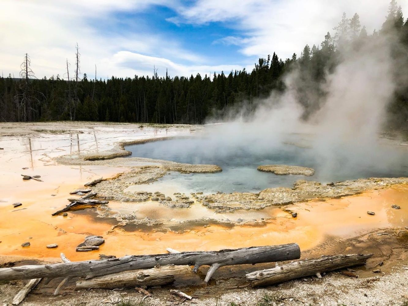 Yellowstone Day Tour: Geysers, Grand Prismatic & Wildlife 06/23