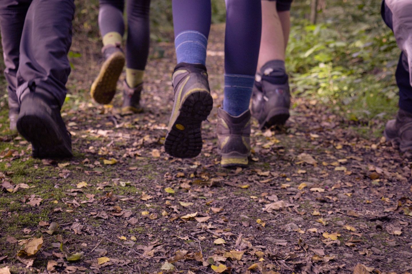 Duke of Edinburgh's Award Gold Navigation Residential