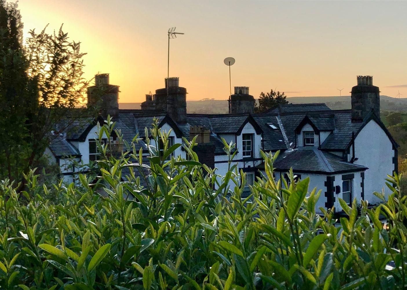 20 January 2025 - Tutored Retreat with extra support for new writers