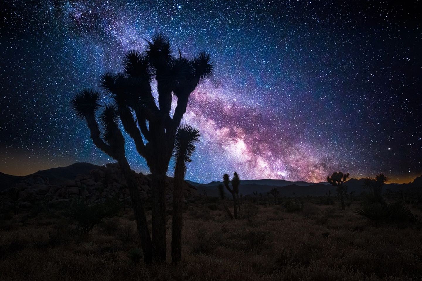 Women’s Joshua Tree & Palm Springs Adventure