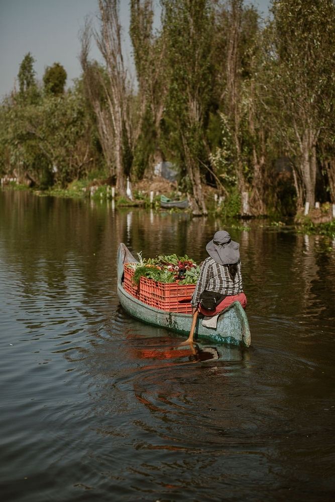 A Taste of Mexican Classics: Traditional Flavors from the Chinampas