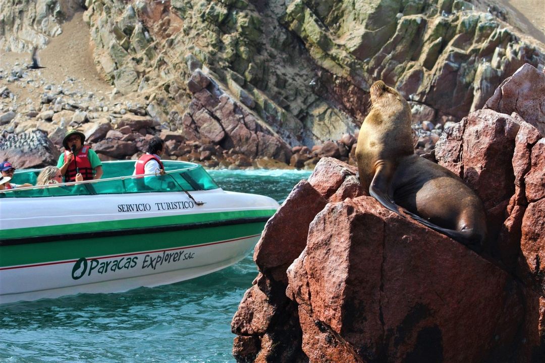 Imagen del tour Accessible tour in Machu Picchu
