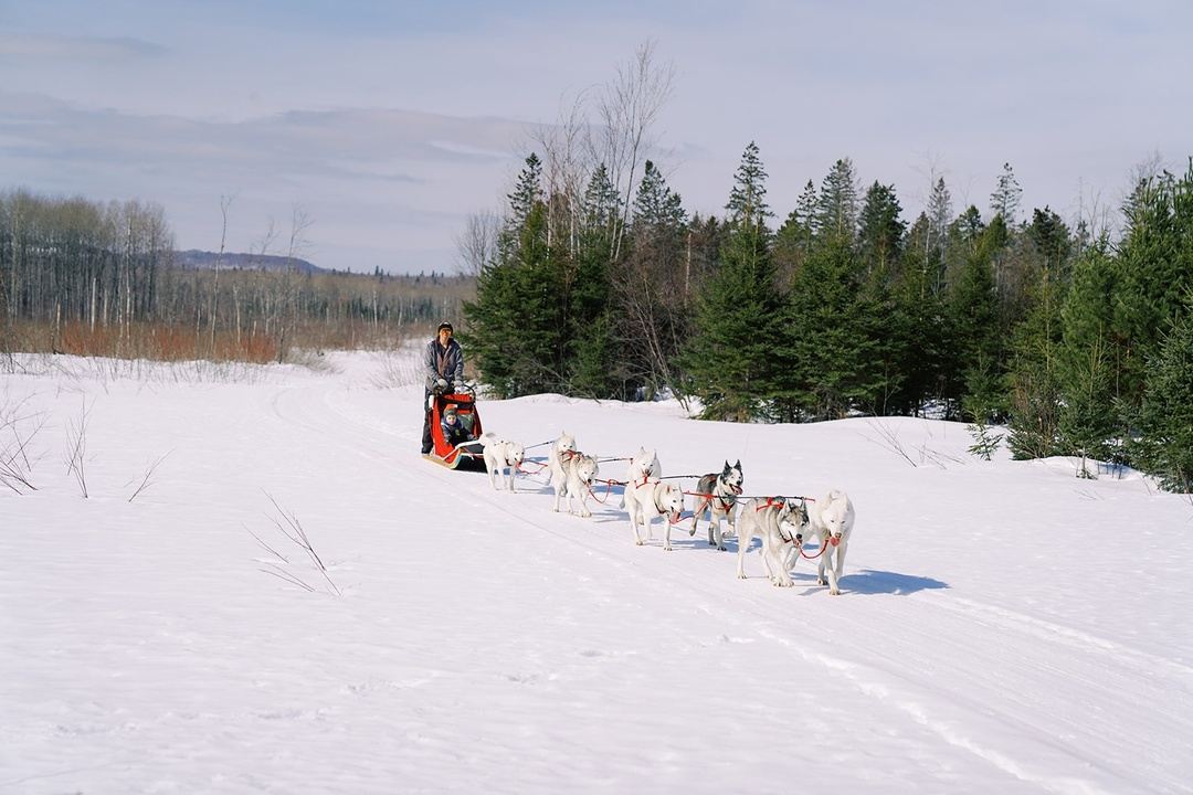 Wisconsin 2022: Women's Dog Sledding Snowshoeing (Feb 16-19) in