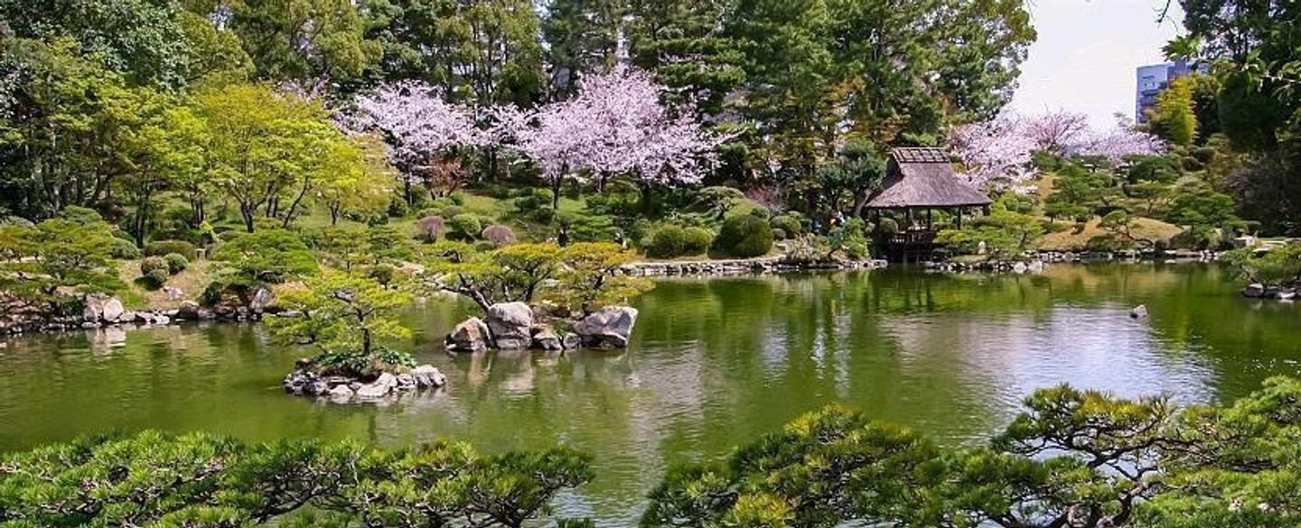 Japanese Gardens in Springtime in Tokyo, Japan