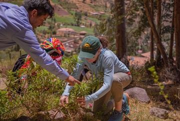 Plant-Based Dyeing Workshop Half Day