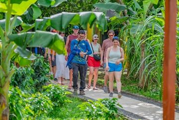 North Fields Coffee and Chocolate tour (8 am)
