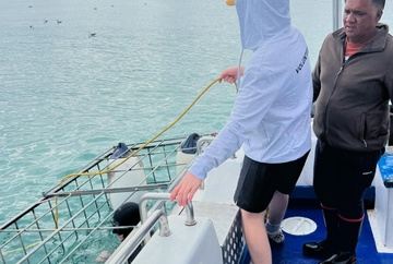 Shark & Marine Research - 2 week Support