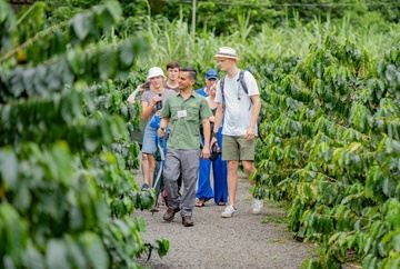North Fields Tour de Cafe y Chocolate English (9 am)