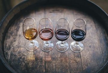 Full Day - Wine Tasting