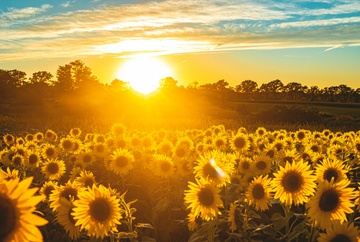 L'Etape TDF France 2026 bike transfers.