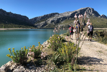 GR221_ESP_ESTELLENCS - POLLENSA