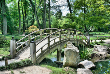 Joyas de Japon 2026 | Jewels of Japan  2026