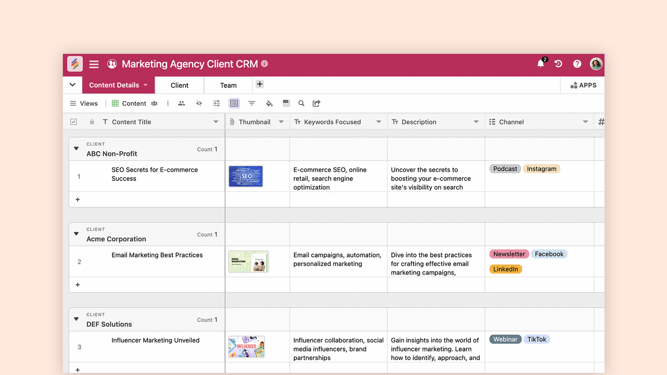 Marketing Agency Client CRM Templates