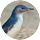 developer avatar