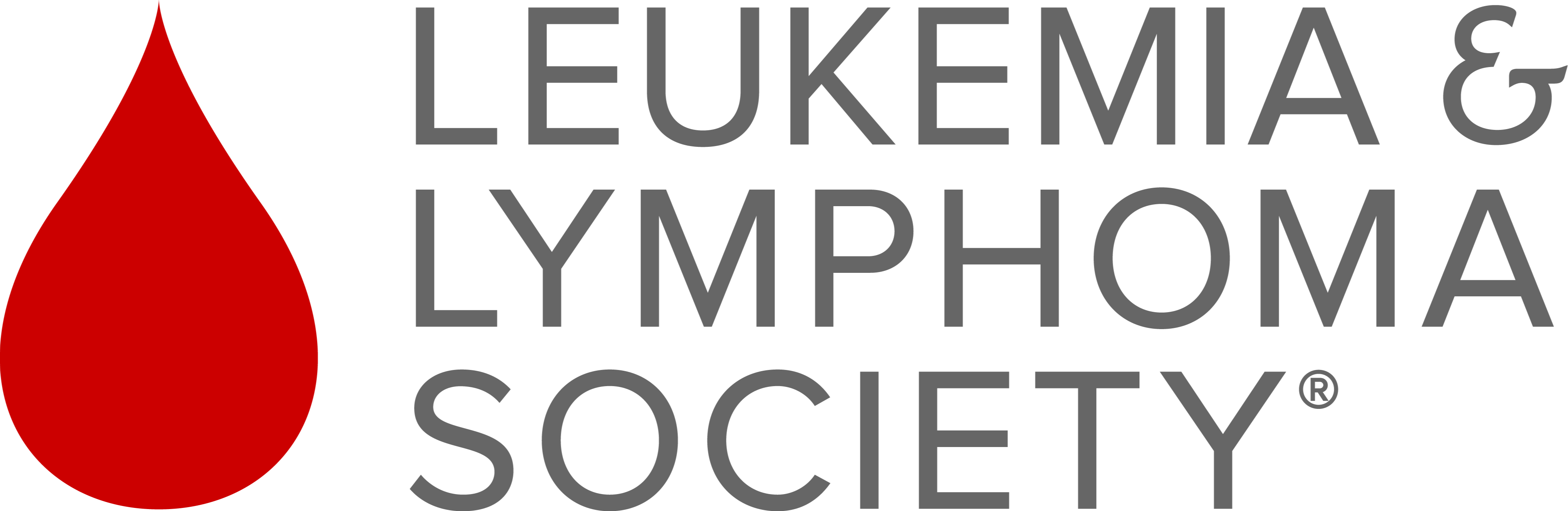 The Leukemia & Lymphoma Society Illinois Chapter Idealist