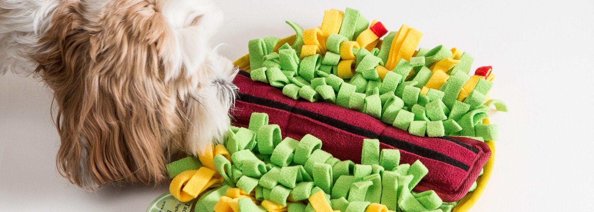 5 Drool-Worthy LickiMat Recipes for Dogs