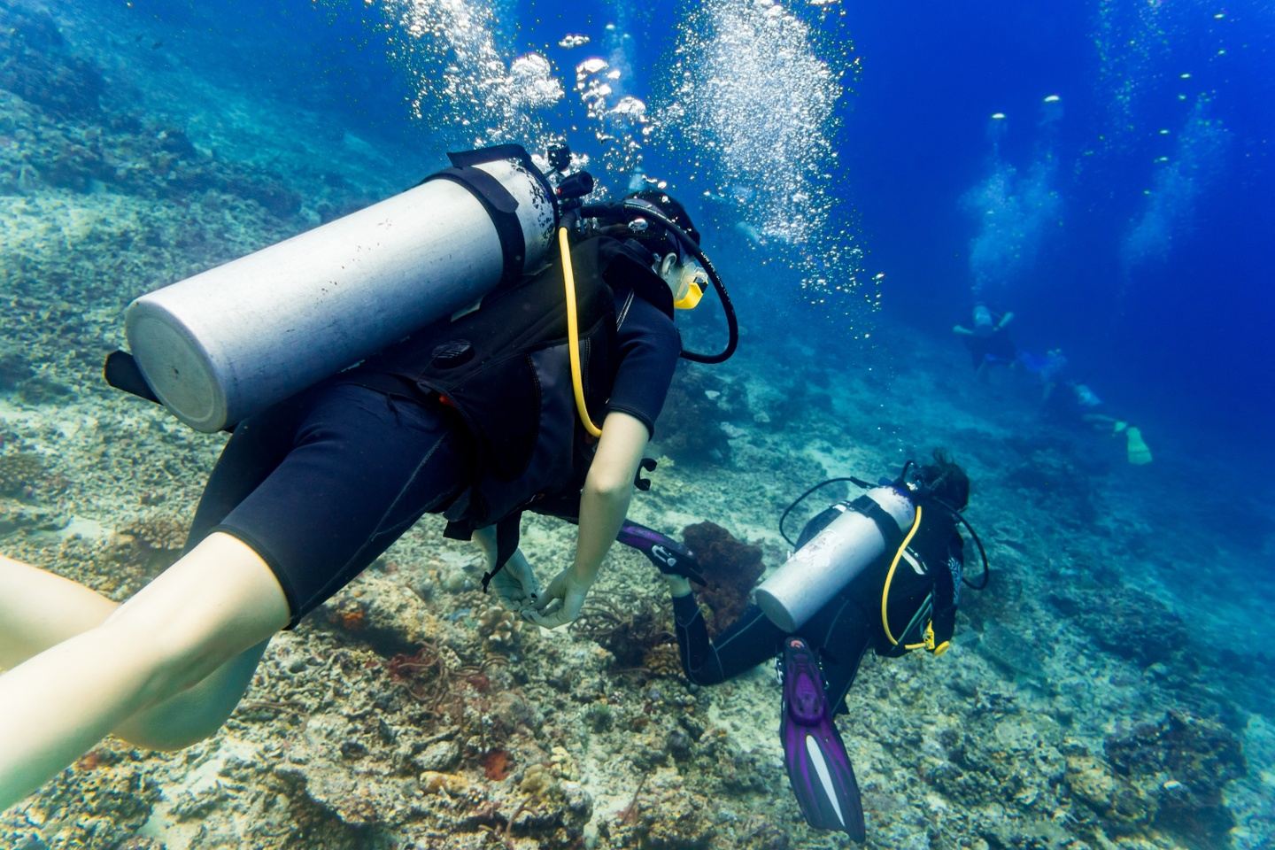 1 Day Two Dive Adventure for Certified Divers