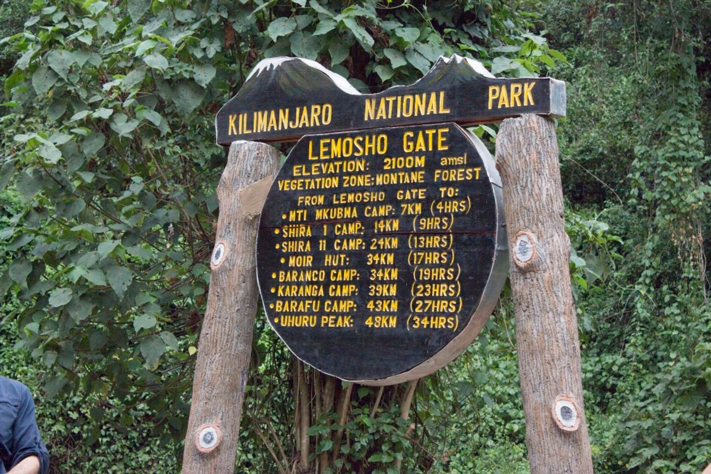 8 Days Lemosho Route – Mount Kilimanjaro Trekking Tour In Kilimanjaro ...