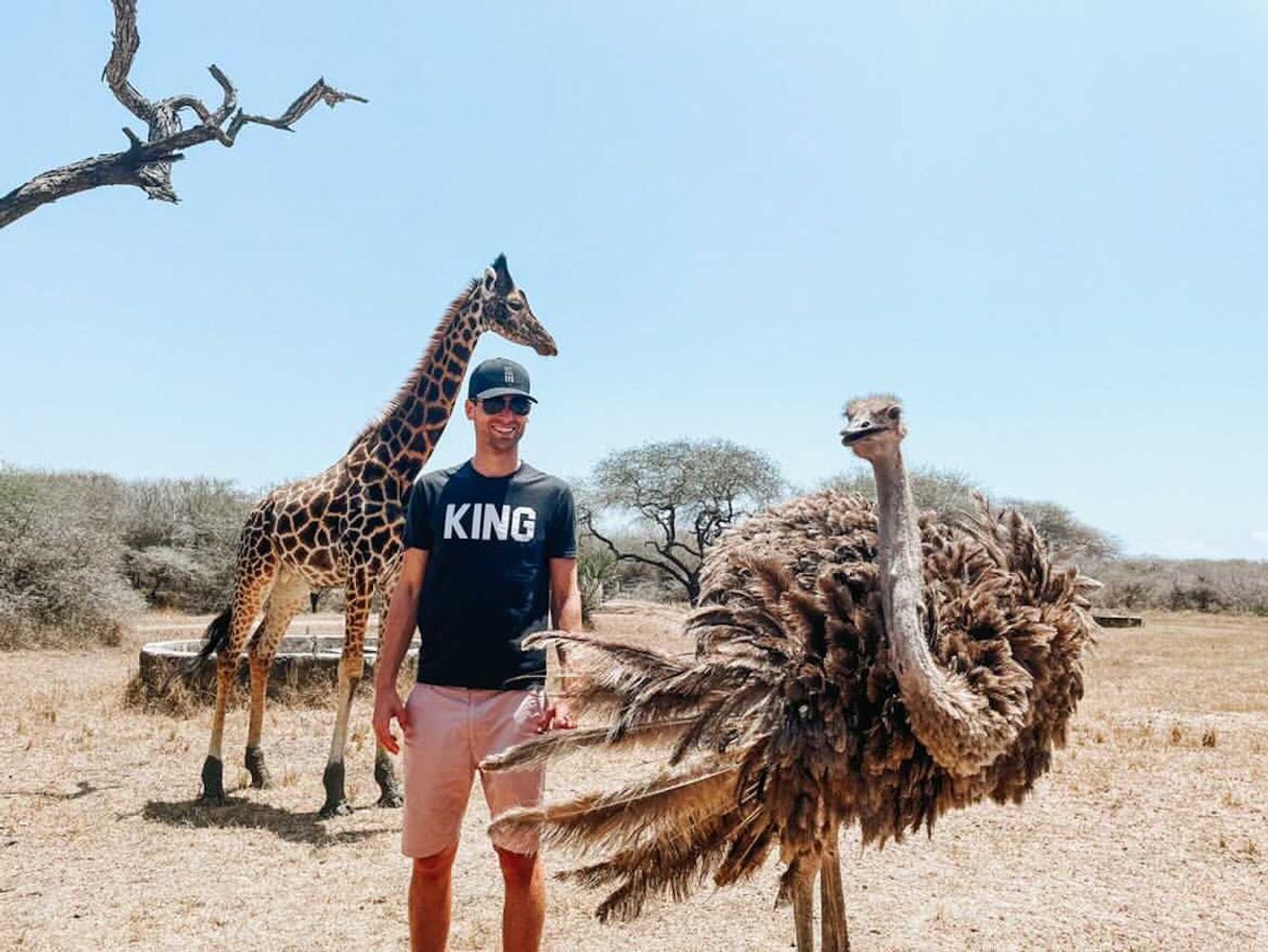 Nature Walk With Giraffes