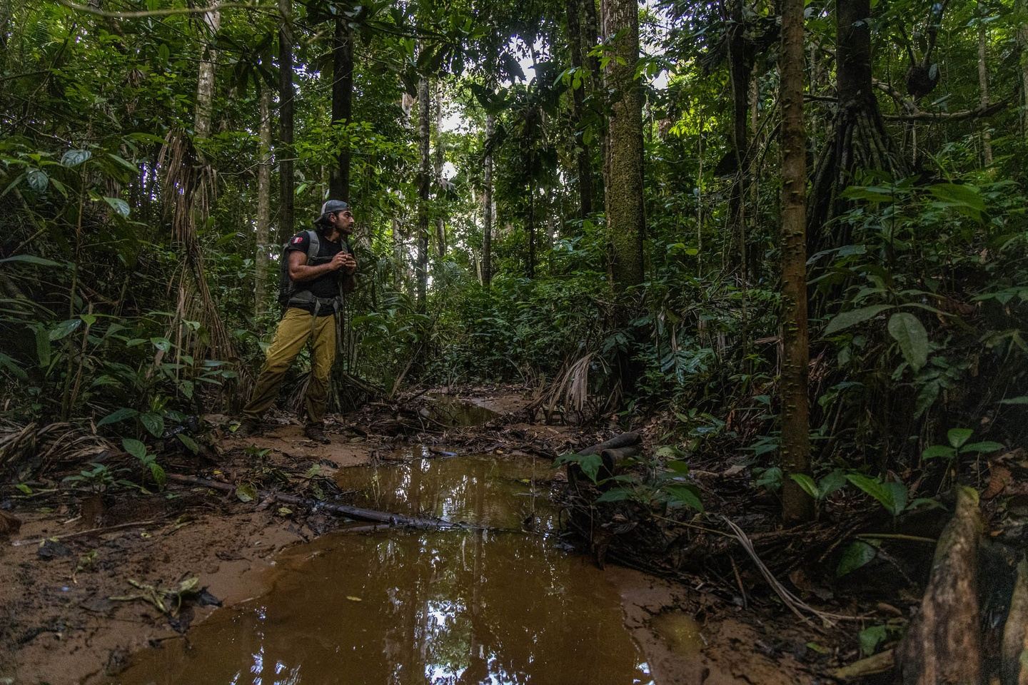 [Locked] Become a Junglekeeper June 2023