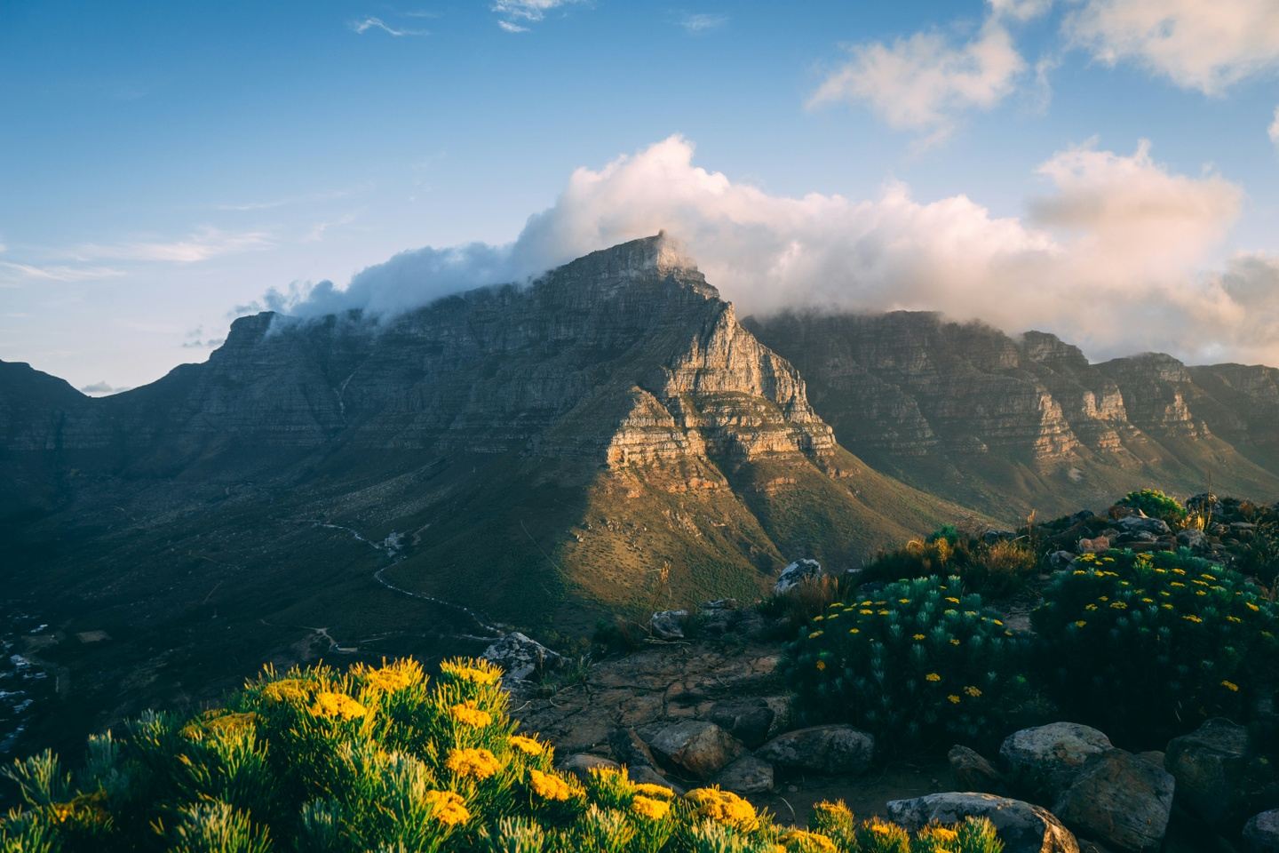 Motherland Magic: A Journey of Renewal in South Africa