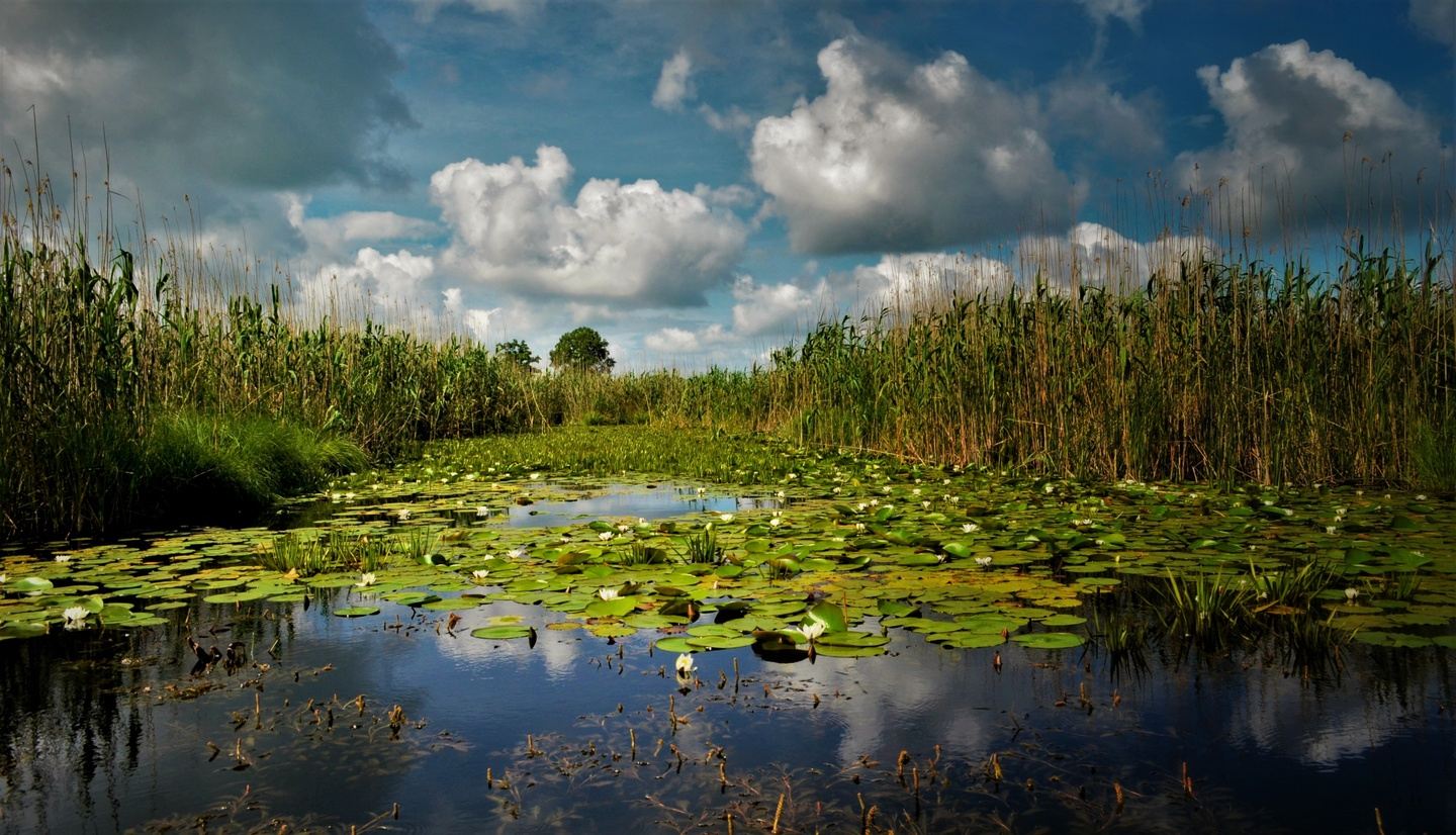 Explore Wildlife from Danube Delta - 4 Days Private Tour in Romania
