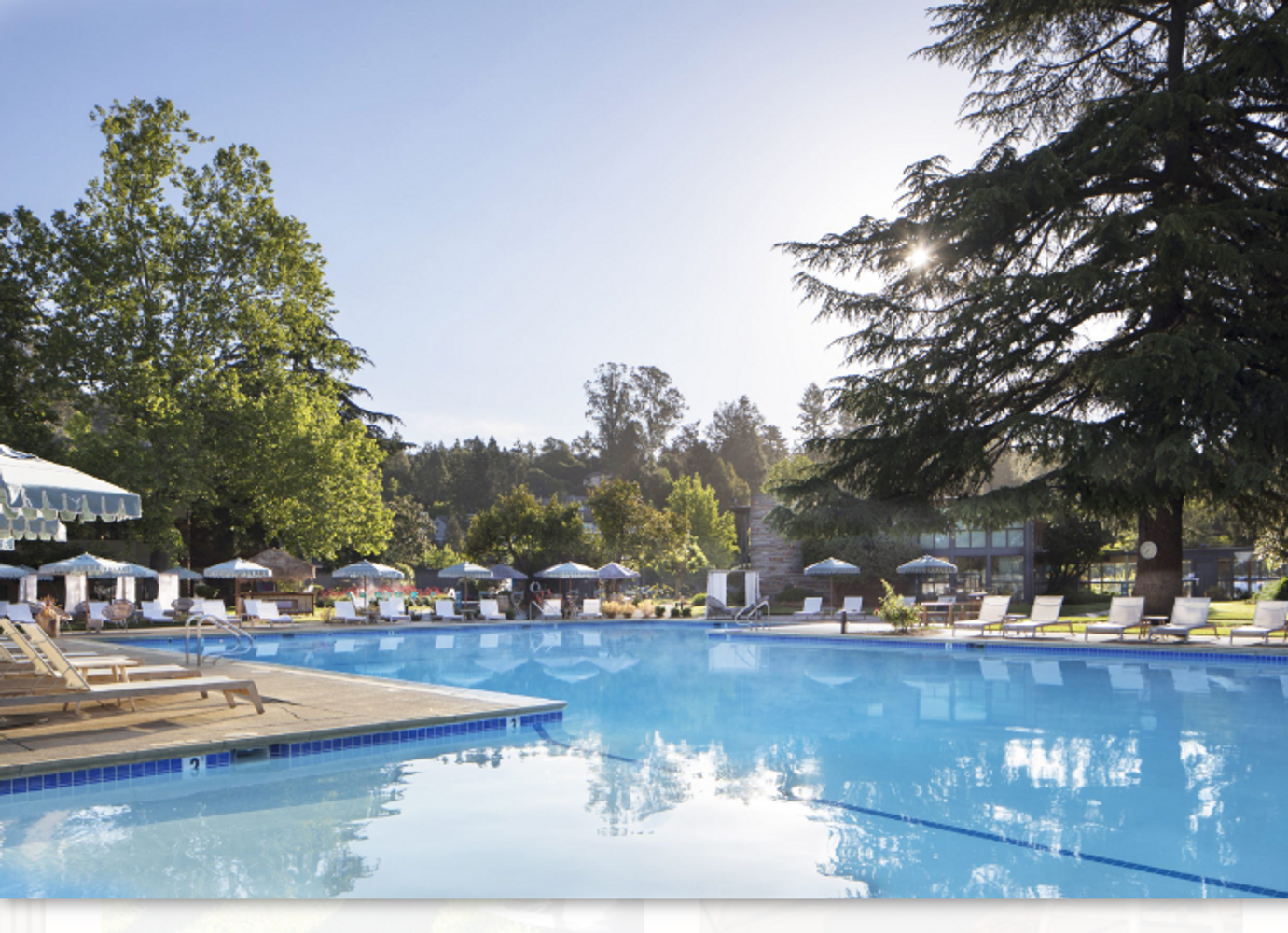 Flamingo Resort - Flow to Wine Day or Overnight Escape to Wine Country