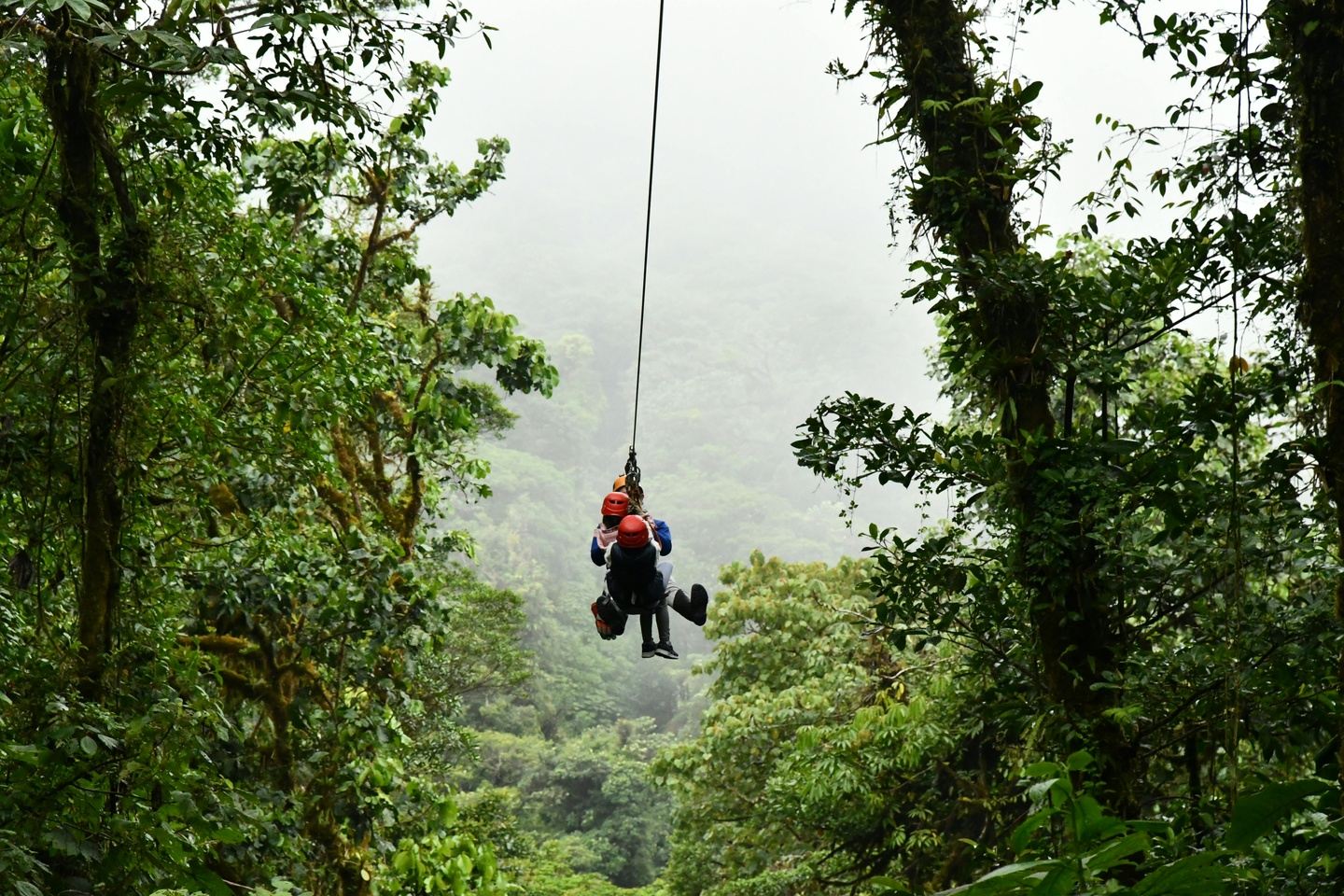 Magoebaskloof Canopy Tour