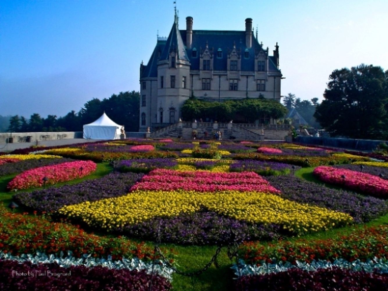 BILTMORE BLOOMS TULIPS & SPRING FLOWERS in Asheville, NC, USA