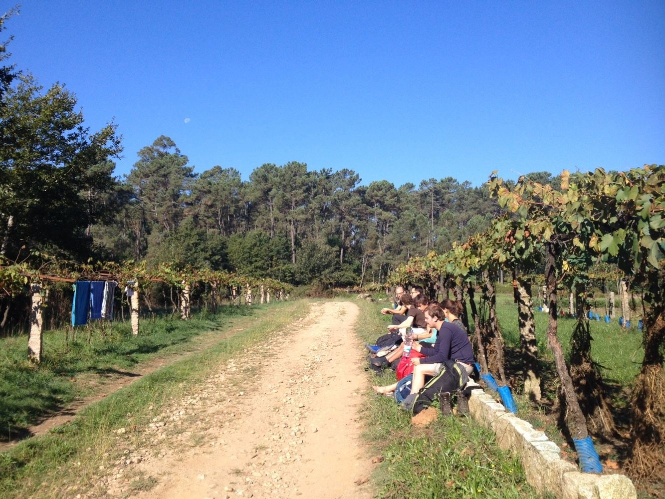 Hike, Reflect & Relax on the Camino Santiago