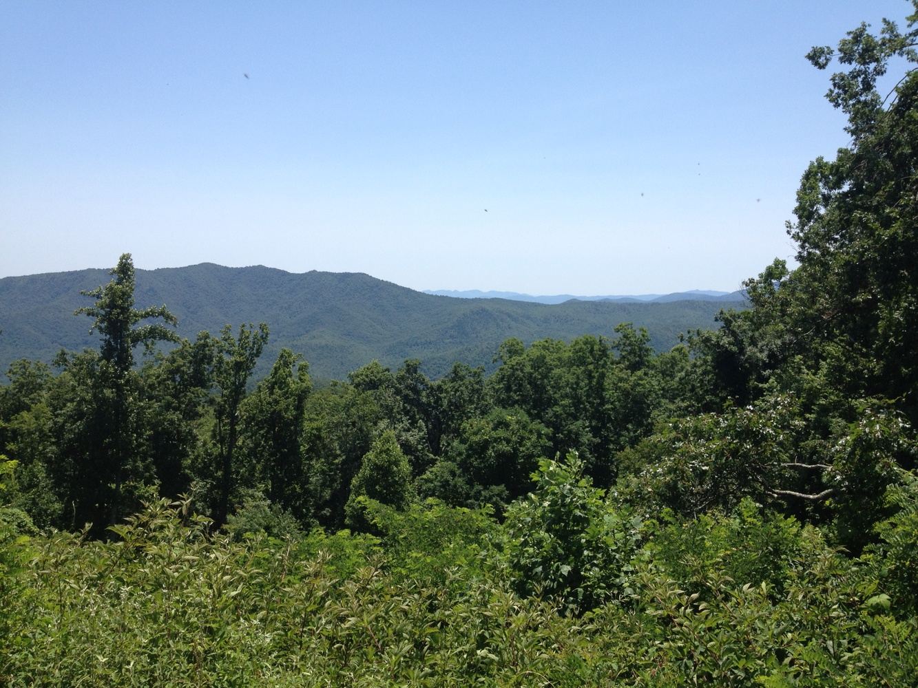 Mt. Mitchell 2 in Asheville, NC, USA