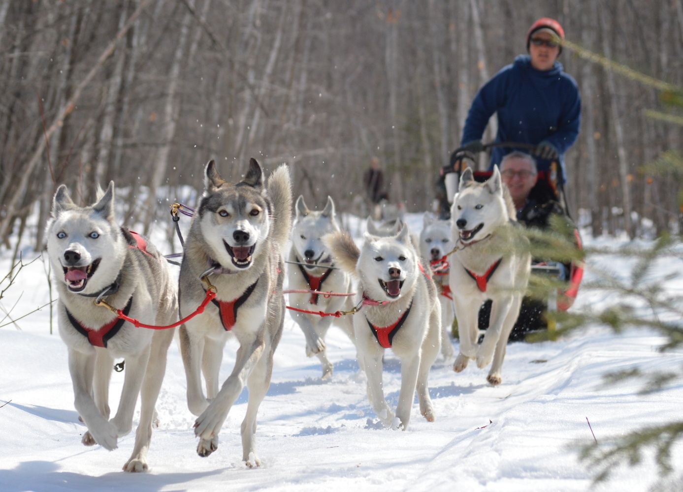 Wisconsin 2021 Women's Dog Sledding & Snowshoeing Weekend in Bayfield