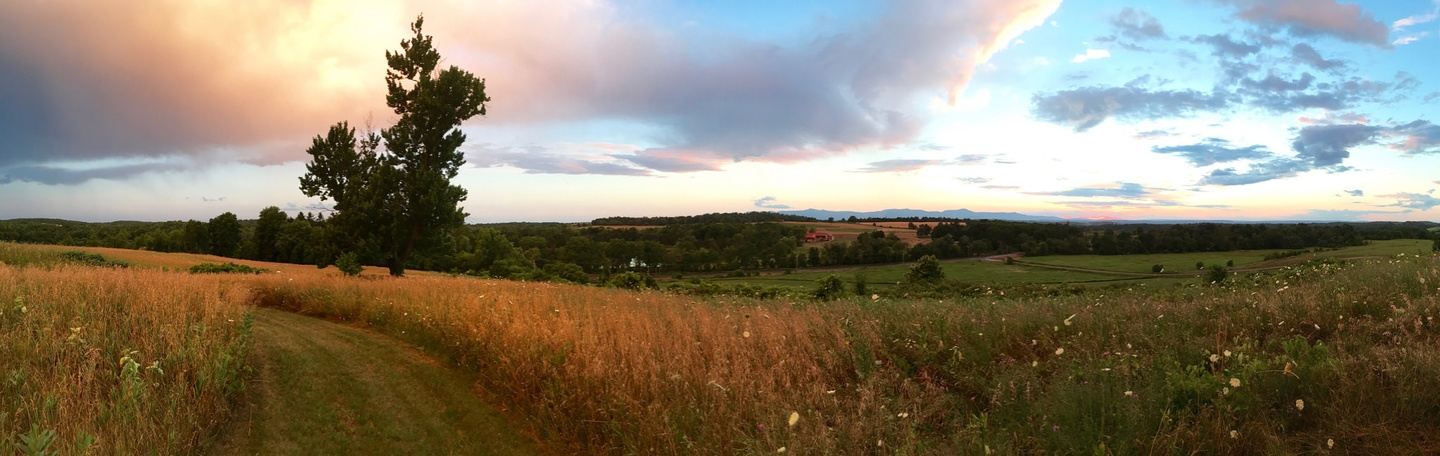Finding Stillness - Silent Insight Yoga and Meditation Retreat,