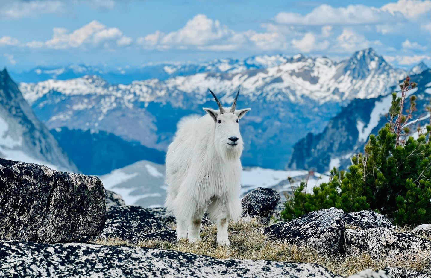 4-day/3-night Women's Retreat: Enchantments Thru-Hike & Cabin Getaway