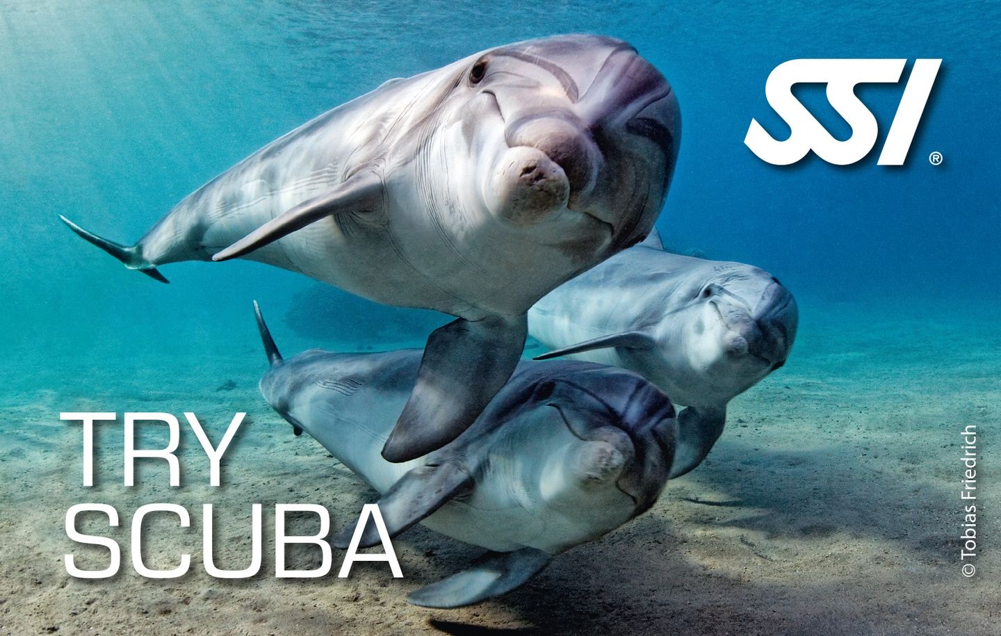 SSI Try Scuba Diver, 1 confined waterl session, 20 minutes