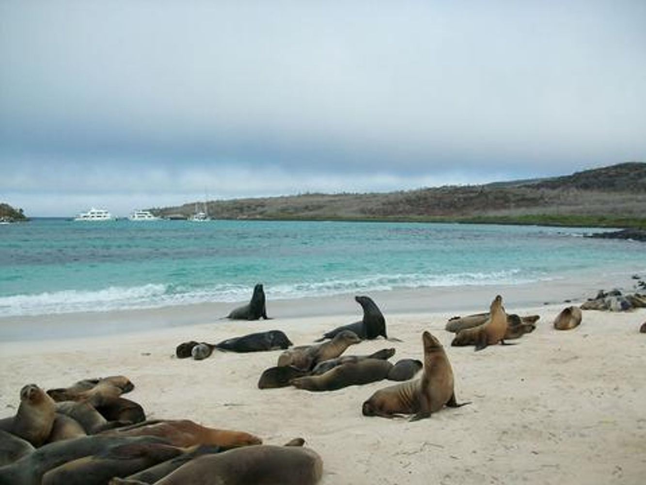 Raja Khoury family x 4 Ecuador trip - Amazon & Galapagos tailored trip ...