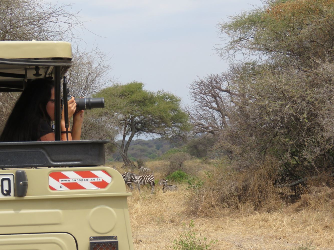 6 Days Serengeti Lodge Safari