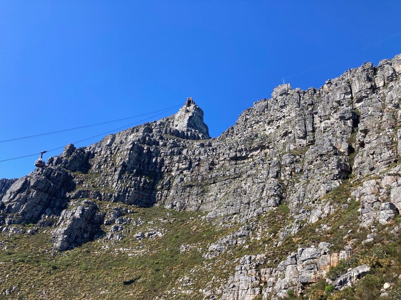 Hike up Table Mountain
